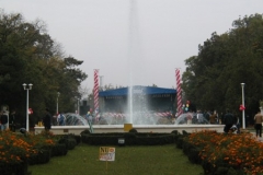 Parc Tei
